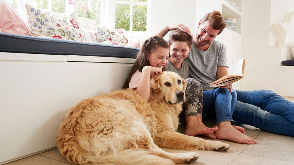 Man sieht eine glückliche Familie mit einem Hund