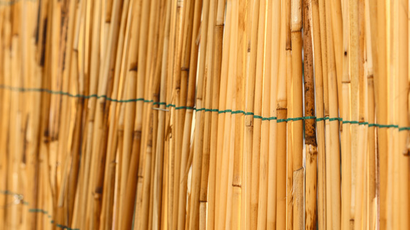 Ein Zaun aus Holzstöcken