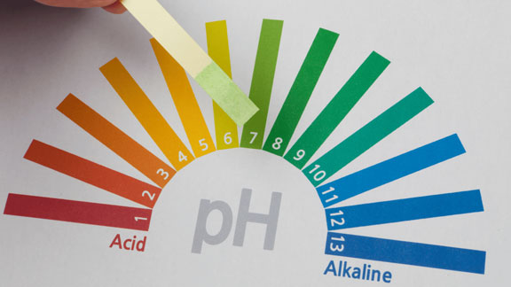 Eine Ansicht die den pH-Wert von 1 bis 14 darstellt. 