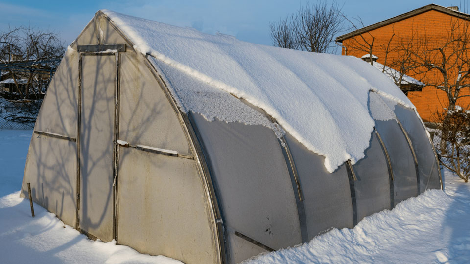 Ein Gewächshaus ist von einer dicken Schneeschicht bedeckt, während es im Hintergrund Winter ist. Das Gewächshaus schützt die Pflanzen im Inneren vor Frost.